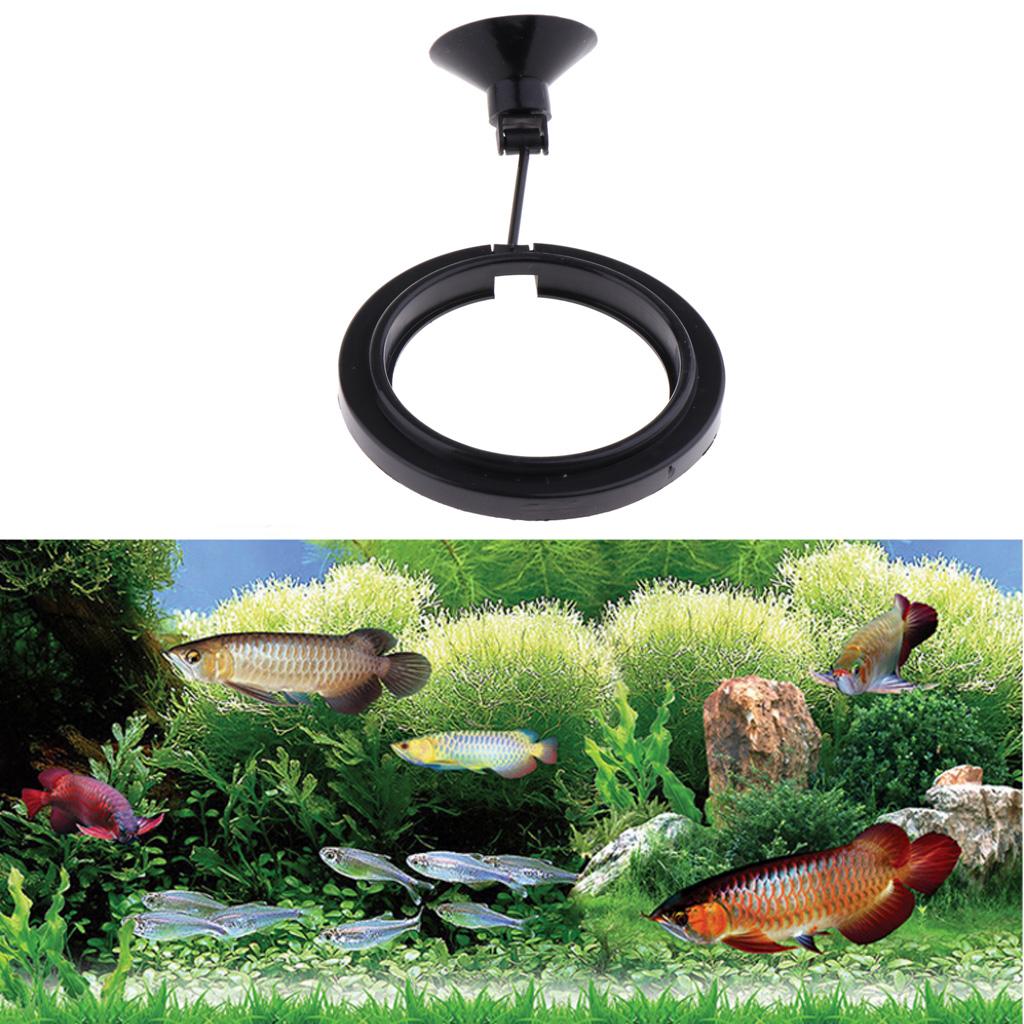 Aquarium Fish Keeping - Comedero flotante para acuarios, bandeja cuadrada