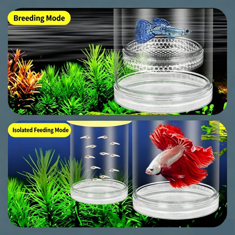 Aquarium Fish Betta - Caja de Cría Transparente para Acuario,