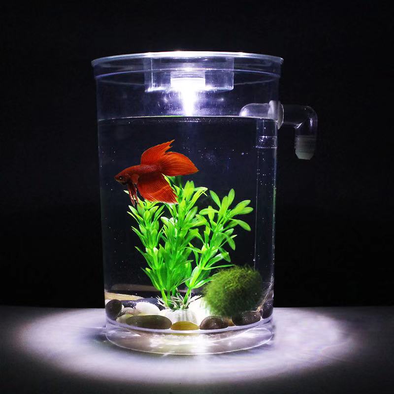 Tanque de peces de escritorio  - Betta Fish Tank reseña y precio