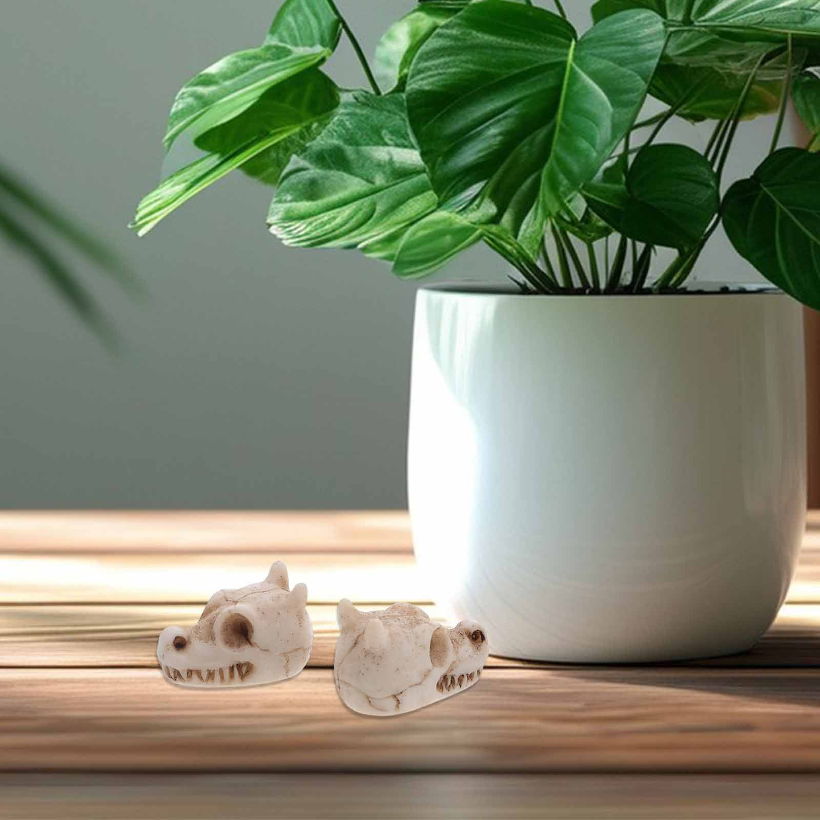 20 piezas de pequeños adornos  - Aquarium Decor reseña y precio